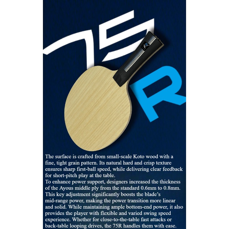 SANWEI 75R 5+2 Outer H-GLC Tab - Table Tennis Blades 评论和价格
